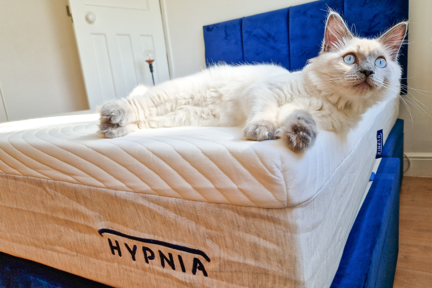Bed in a Box Review UK 2024